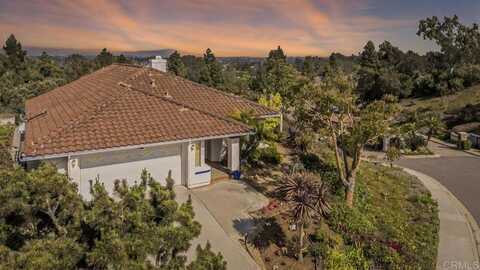 221 Via Tierra, Encinitas, CA 92024