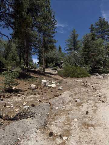 2526 Ridge Road, Running Springs, CA 92382