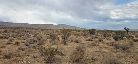 0 116th Street W, Rosamond, CA 93505