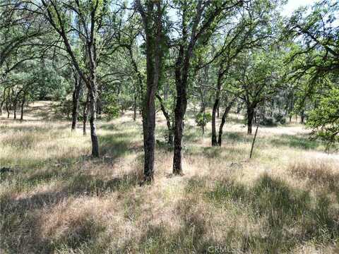 16625 Rancho Tehama Road, Corning, CA 96021