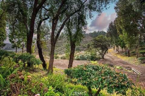 25536 Rue Terrase, Laguna Niguel, CA 92677