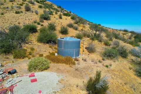 0 Juniper Hills Road, Littlerock, CA 93543