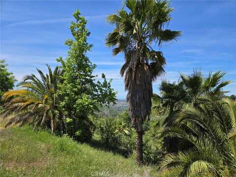 5665 Little Grand Canyon Drive, Paradise, CA 95969