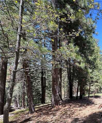 25648 Hi Lane, Twin Peaks, CA 92391