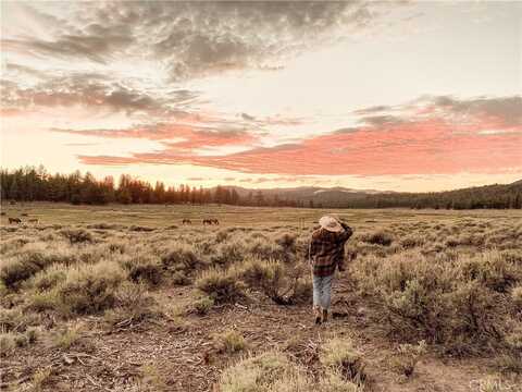0 Holcomb Valley Road, Fawnskin, CA 92333