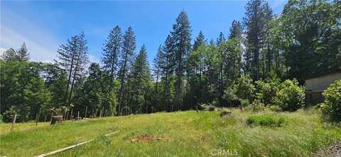 0 Little Bend Circle, Yankee Hill, CA 95965