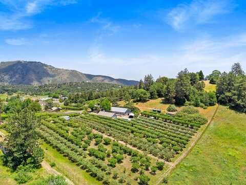 2645 Apple Lane, Julian, CA 92036