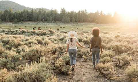 34300 Holcomb Valley Road, Fawnskin, CA 92333