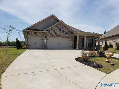 300 Addison Court, New Market, AL 35761