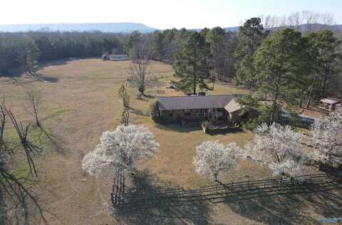 1016 Wesson Lake Road, Attalla, AL 35954