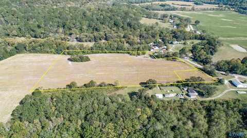 +/- 9.92 Acres Alabama Highway 65, Princeton, AL 35766