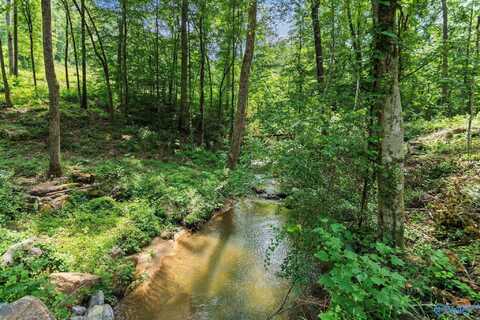 Lot 10 & 11 Wyeth Drive, Guntersville, AL 35976