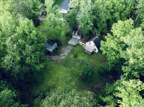 1790 Mt View Road, Wellington, AL 36279