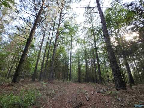 6926 County Road 29, Piedmont, AL 36272