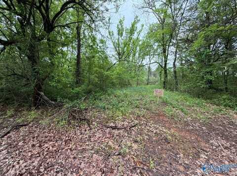 3810 County Road 59, Moulton, AL 35650