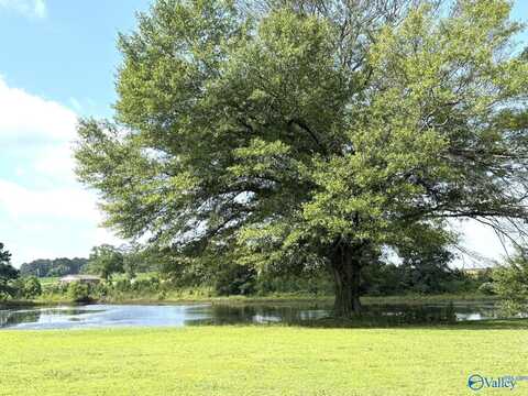 2026 B Edmondson Street, Albertville, AL 35950