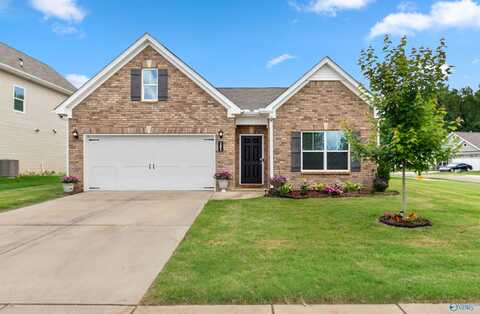 101 Emma Grace Lane, New Market, AL 35761
