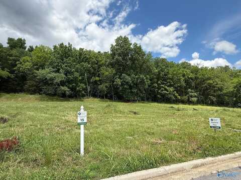 2503 Monte Sano Cove Road, Huntsville, AL 35741
