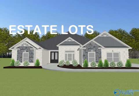 Williamson B1 Newby Chapel Road, Athens, AL 35613