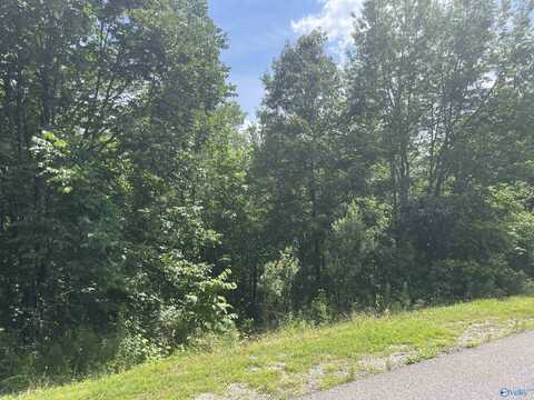Lot 1 Meadow Creek Road, Glencoe, AL 35905