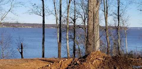 169 Crown Pointe Drive, Muscle Shoals, AL 35661