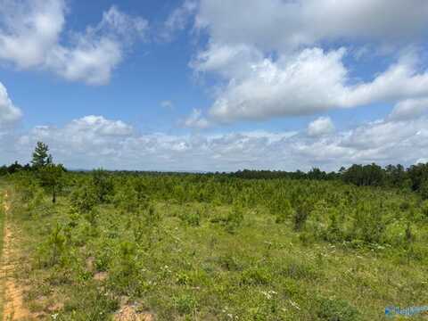 Tract 1 Tom Cat Road, Gadsden, AL 35903