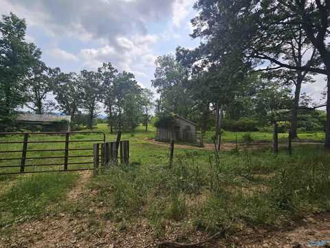 1148 County Road 865, Collinsville, AL 35961