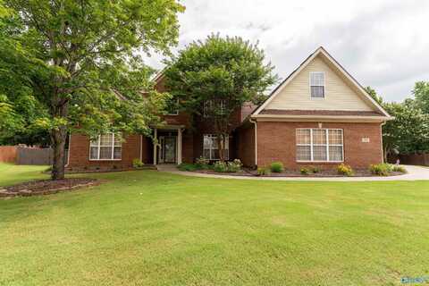154 Trailing Vine Lane, Harvest, AL 35749