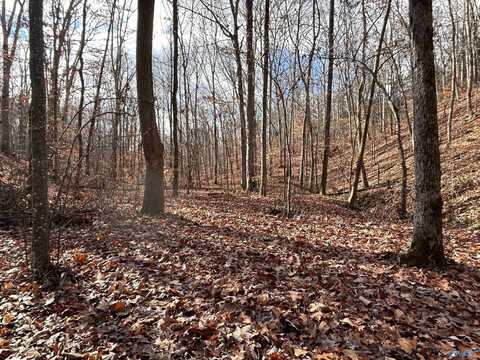 10 Ac Pennywinkle Creek Lane, Cherokee, AL 35616