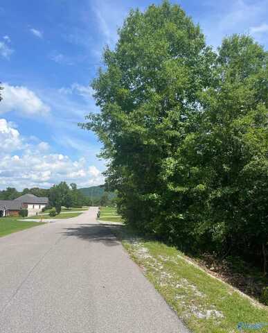 Lot 3 Meadow Creek Road, Glencoe, AL 35905