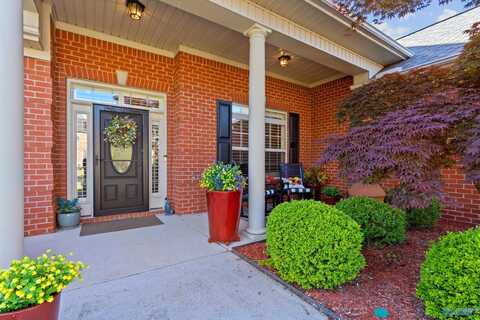 166 Rainbow Glen Circle, Madison, AL 35758