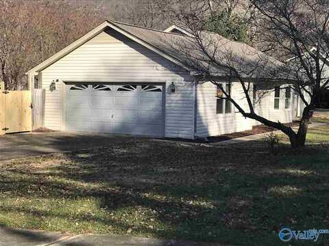 1305 SE Chimney Springs Drive, Huntsville, AL 35803