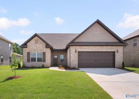 170 Saddle Street, New Market, AL 35761