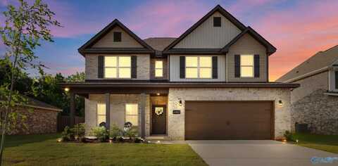 16821 Demi Drive, Athens, AL 35613