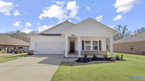 15319 Bees Street, Harvest, AL 35749