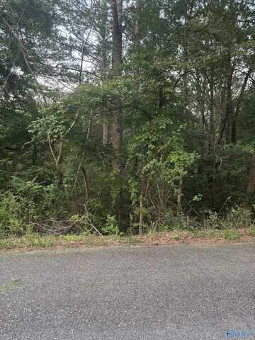 1 Berkley Hills Drive, Southside, AL 35907