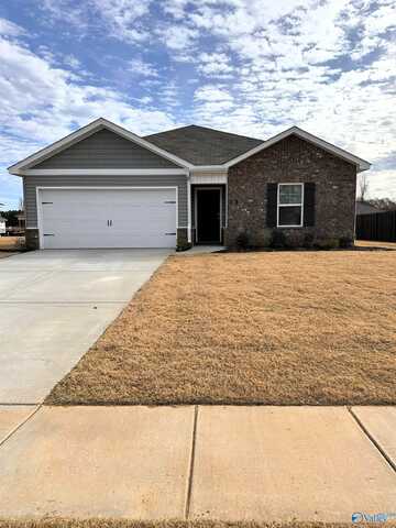 205 Chubbs Lane, Owens Cross Roads, AL 35763