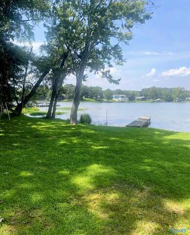 631 County Road 146, Leesburg, AL 35983