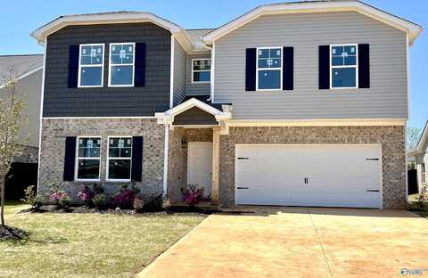 155 Brier Valley Drive, Meridianville, AL 35759