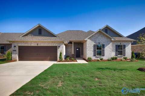 123 Pike Ackert Road, Meridianville, AL 35759