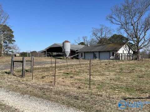 38.74 Walter Whitt Rd, Mountainboro, AL 35956