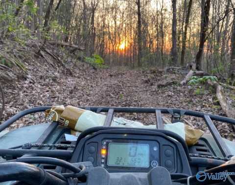 40 Acres County Road 414, Flat Rock, AL 35966