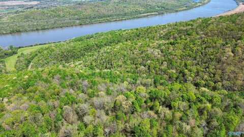 40 Acres County Road 414, Flat Rock, AL 35966
