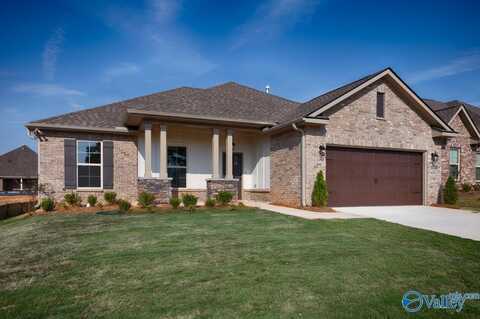 17751 Cabernet Street, Athens, AL 35613