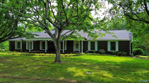 205 Holter Avenue, Albertville, AL 35950