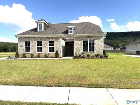 7510 Speckle Belly Boulevard, Owens Cross Roads, AL 35763