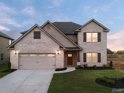 160 Virtue Way, Harvest, AL 35749