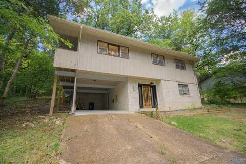 10038 Torino Drive, Huntsville, AL 35803