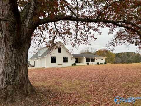 3269 E Hwy 55, Eva, AL 35621