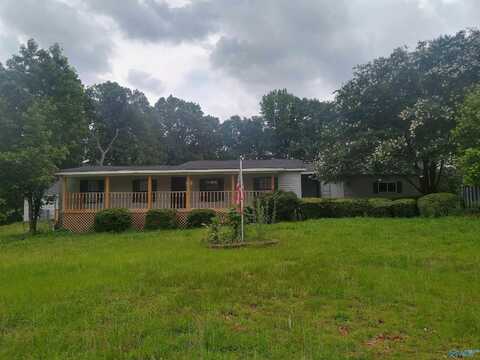 205 Hazel Street, Danville, AL 35619